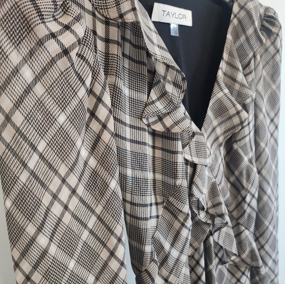 NWT Taylor Ruffled Chiffon Fit & Flare Maxi Dress - Size 6 - Picture 9 of 14